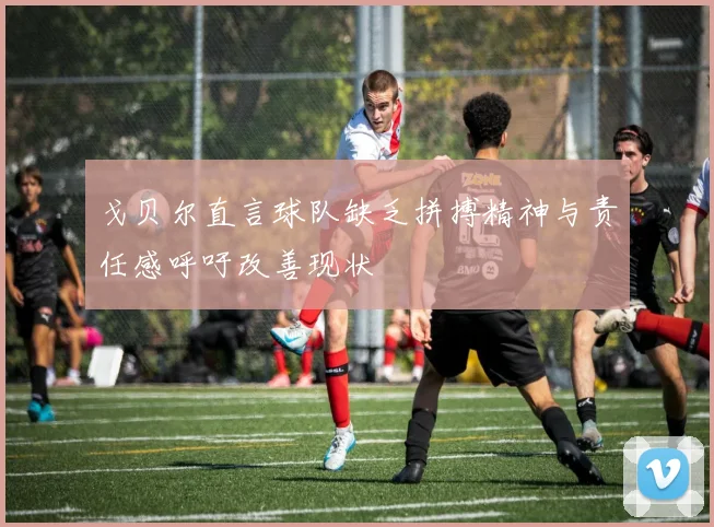 戈贝尔直言球队缺乏拼搏精神与责任感呼吁改善现状