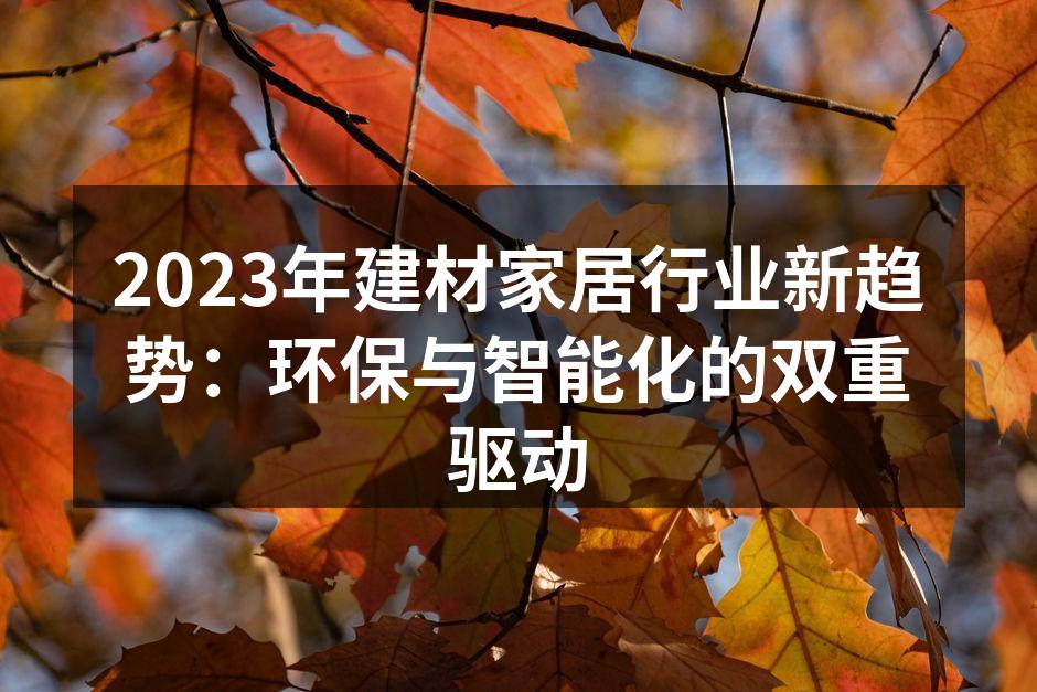 未来家居的环保材料示例
